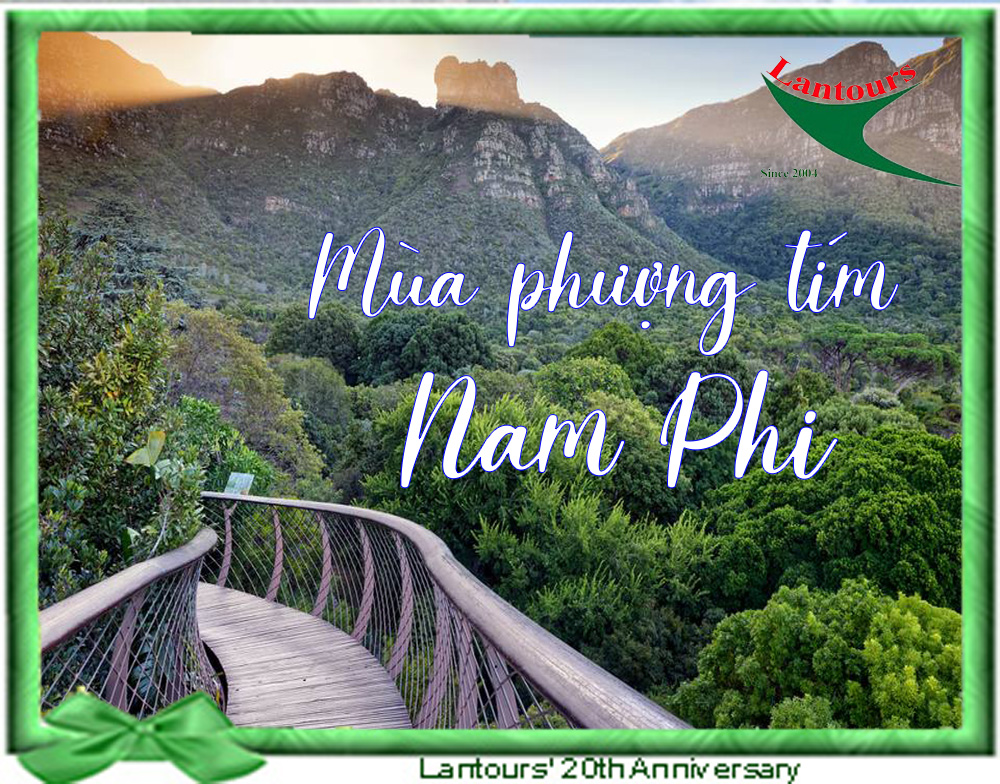 mua phuong tim nam phi