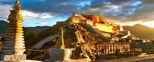 anh_con_dai_tibet