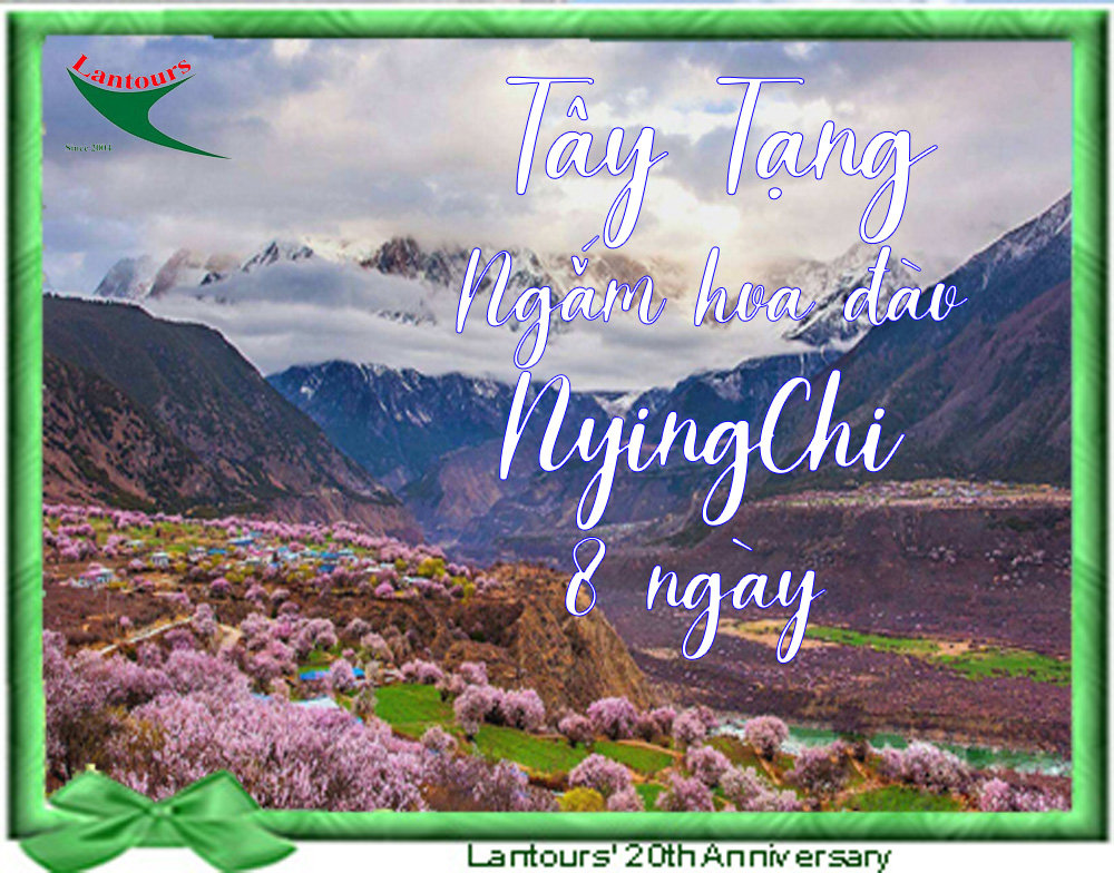 tay tang ngam hoa dao nyingchi 8 ngay